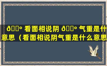 🐺 看面相说阴 🌺 气重是什么意思（看面相说阴气重是什么意思）